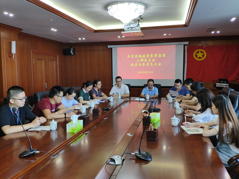 省農(nóng)資集團(tuán)公司團(tuán)支部圓滿完成換屆選舉