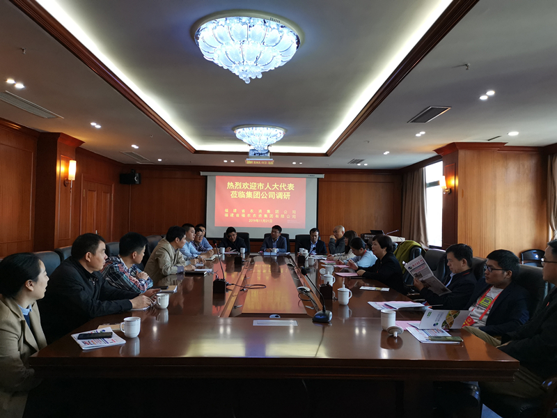 福州市人大到集團公司視察調(diào)研