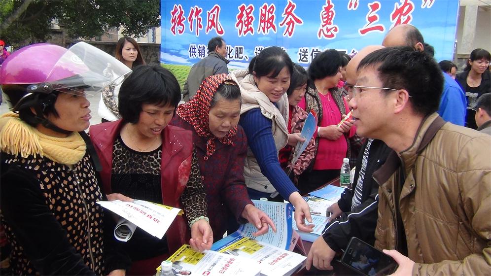 省農(nóng)資集團(tuán)泉州公司開展春耕送肥下鄉(xiāng)活動