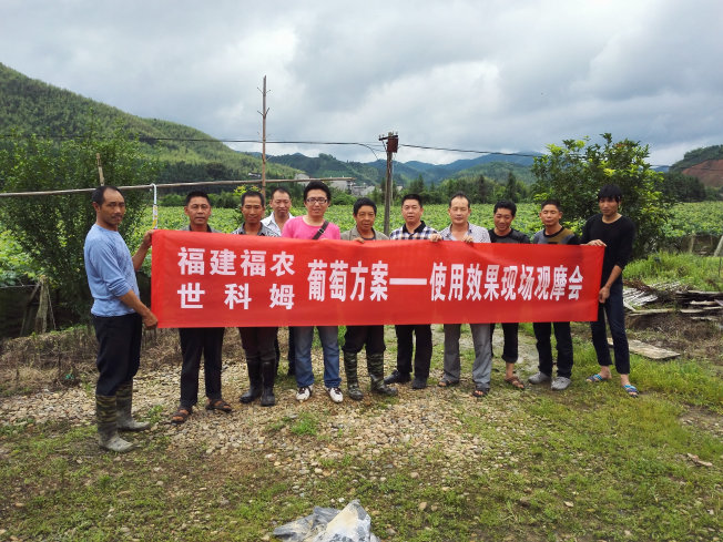 “世科姆藥肥一體化——葡萄全程方案”種植大戶現(xiàn)場(chǎng)觀摩會(huì)